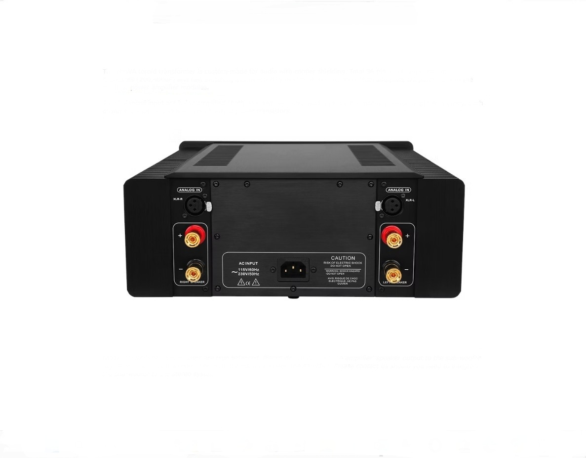 Denafrips Thallo 12th Power amp - Image 2